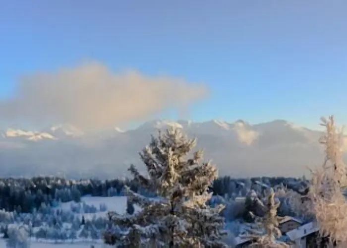 Royal Κρανς Μοντάνα